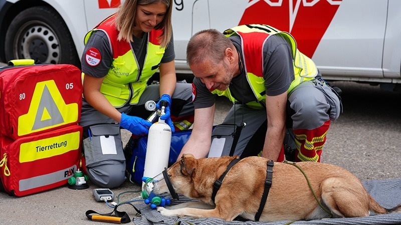 Stiftung Tierrettungsdienst