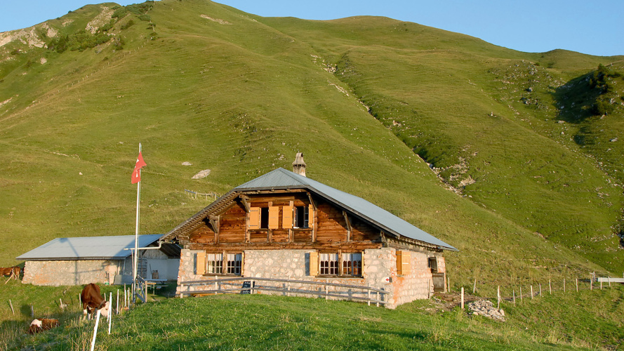 Transportbahn-Erneuerung