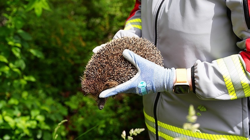 Stiftung Tierrettungsdienst