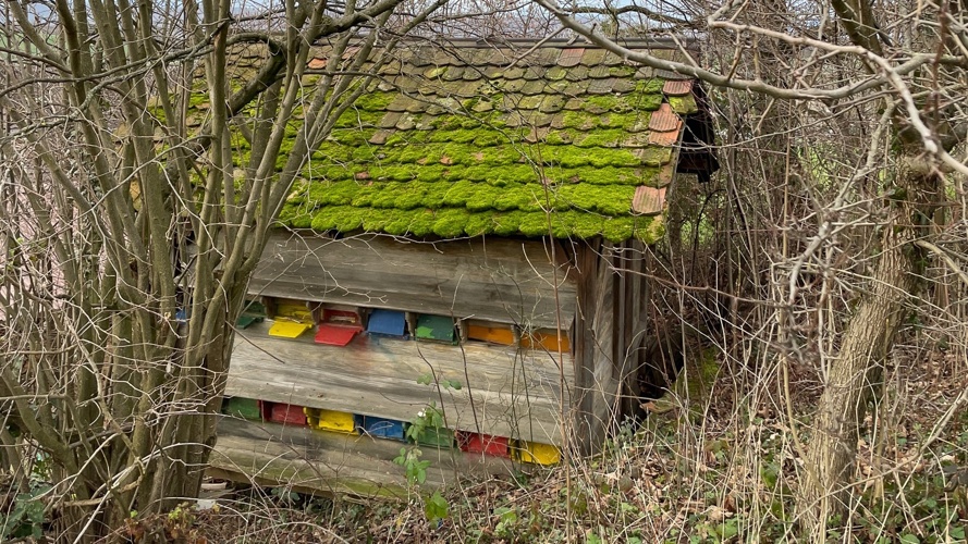 Sanierung Bienenhaus