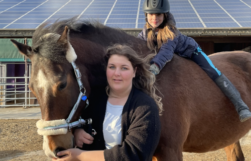 Domino wird Therapiepferd