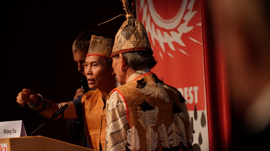 The Rainforest-Tribunal