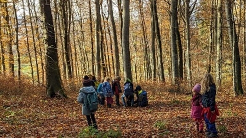 Une classe en forêt pour les enfants entre 8 et 11 ans
