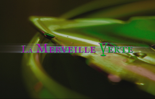 Schweizer Kulturfilm: La Merveille Verte