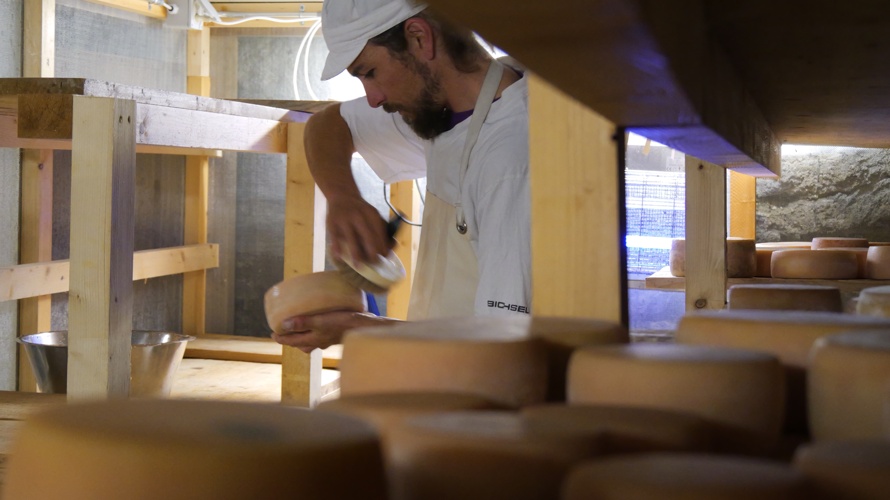 Stiftung Alpe Hannig Saas Fee