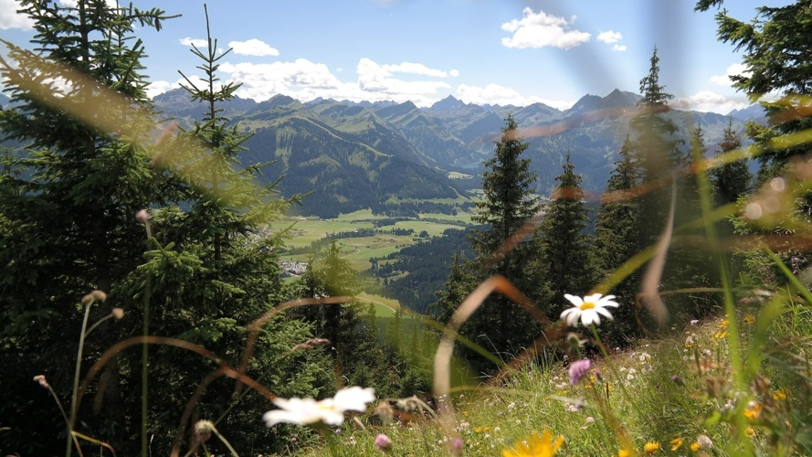 100km für den guten Zweck