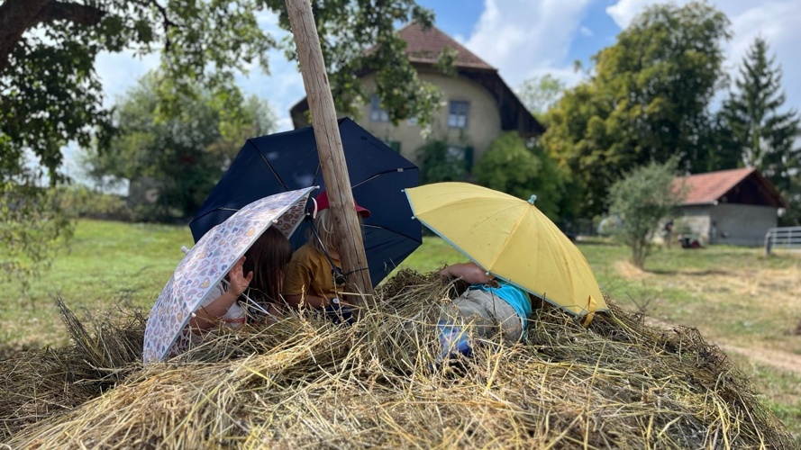 Zirkus Oase Solothurn im Zirkuszelt