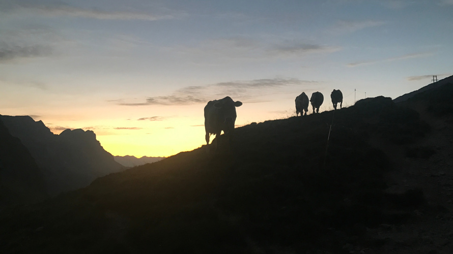 Bewirtschaftungsweg Mälchbödeli, Klausenpass