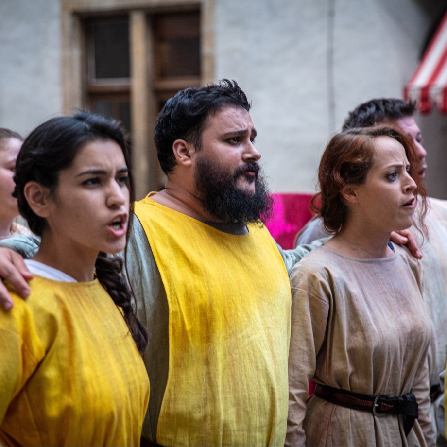 Un rôle pour un soir, sur scène avec les artistes