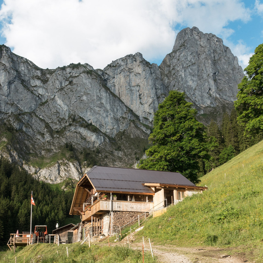 Imbiss auf der Alp als Dankeschön für Deine Unterstützung
