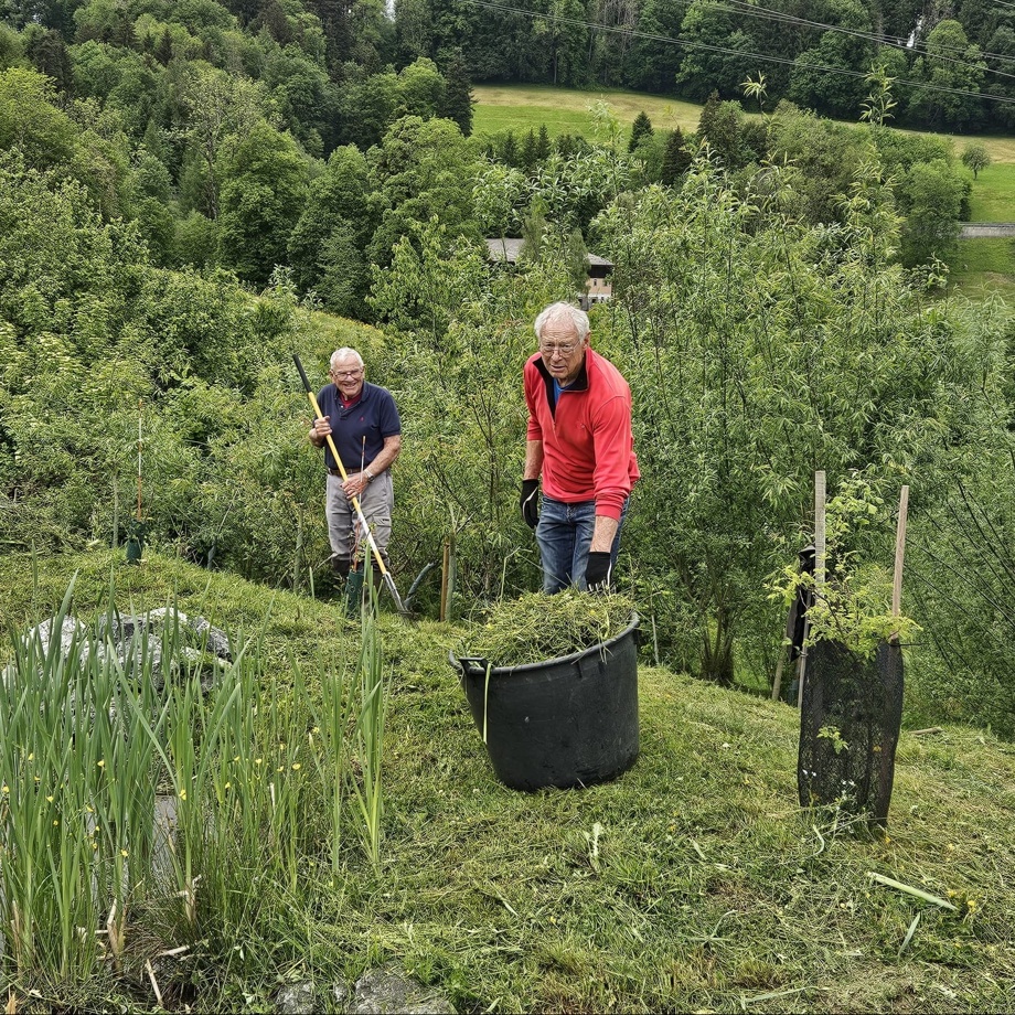 tägiger Arbeitseinsatz in unserem Renaturierungsprojekt