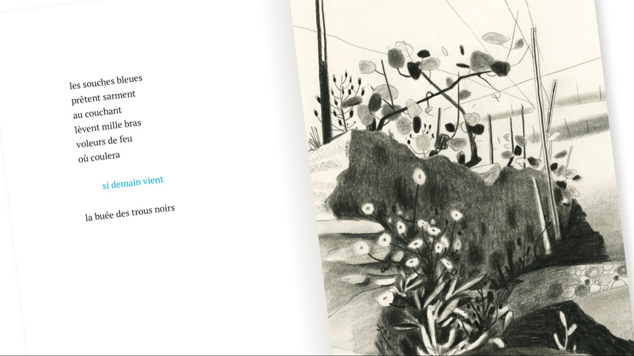 Lavaux d'ombres, un livre d'artistes qui marie l'illustration au poème