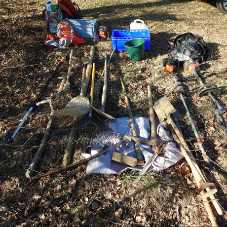 Sehen wir uns am 15. November?