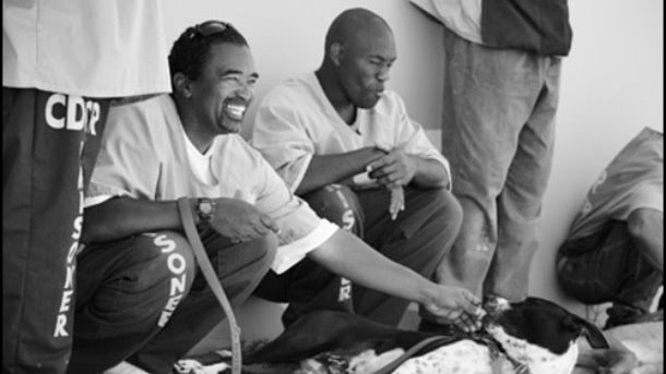 FREEDOGS - Une chance pour tous !