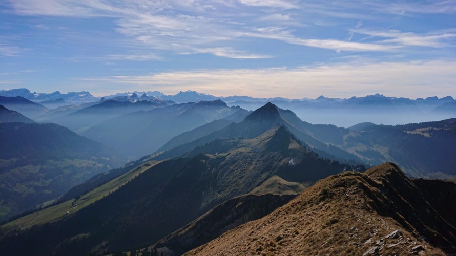 Défi Parkinson 2020