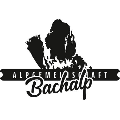 Ein erfolgreicher Abschluss hat unsere Erwartungen übertroffen