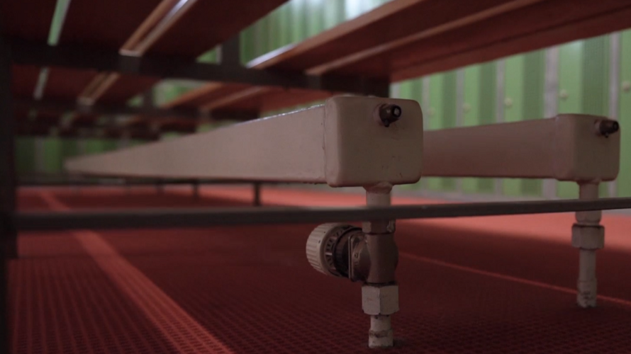 Clubhaus Sanierung - 50 Jahre Tennis Club Bassersdorf-Nürensdorf