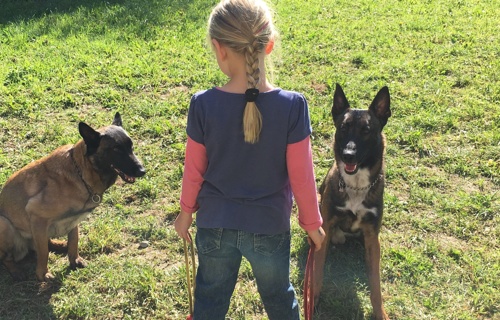 ABRI Benefizkonzert - "zämä bewegä"