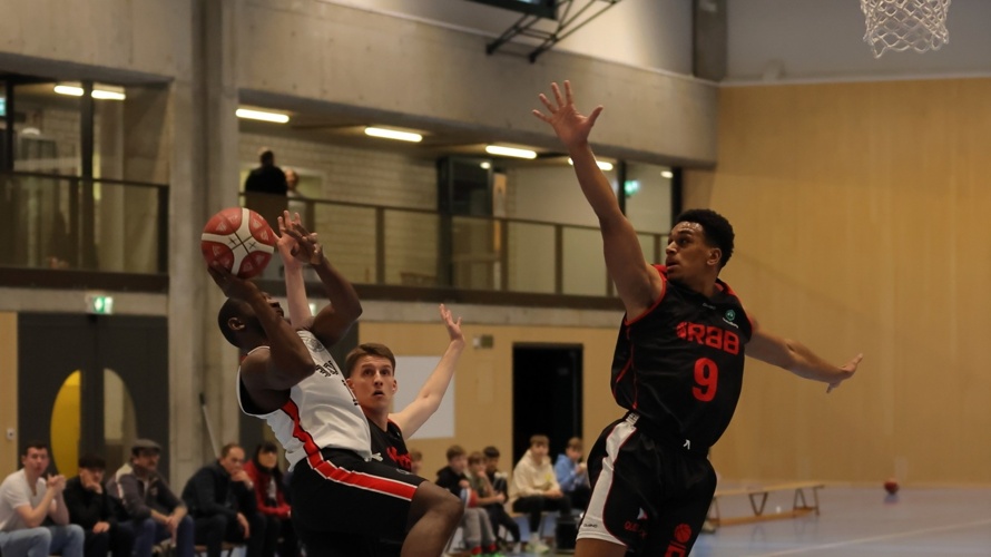 Baden Basket 54