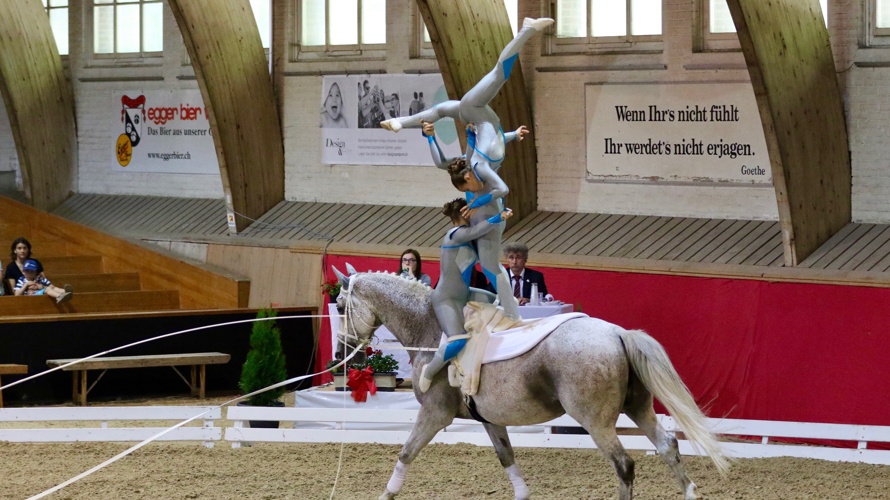 Voltige Turnier Uster