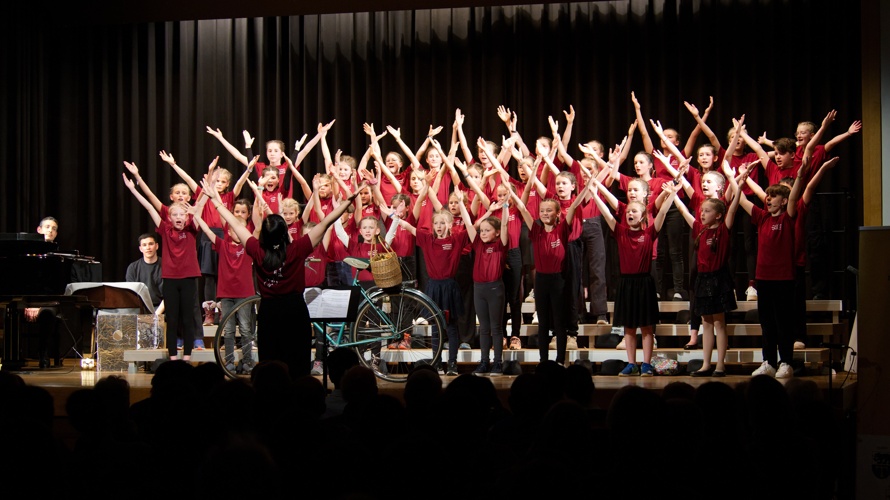 Verein «Singing ARound the World»