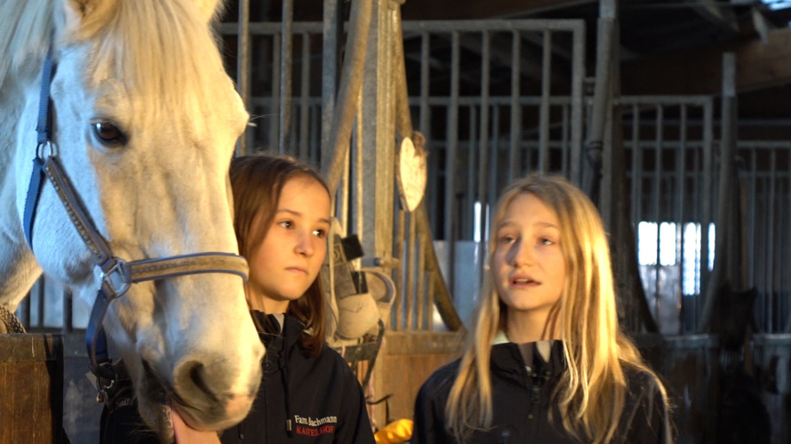 Support Reitschule Kastelhof