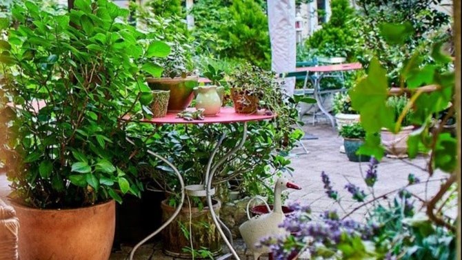 Hotel Café Mozart Rorschach - Herzensgäste