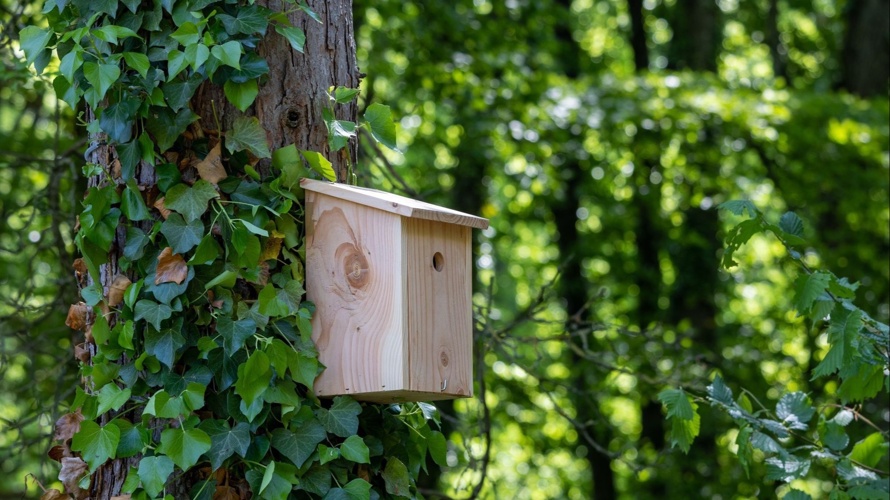 Le Jardin de la Bécassine