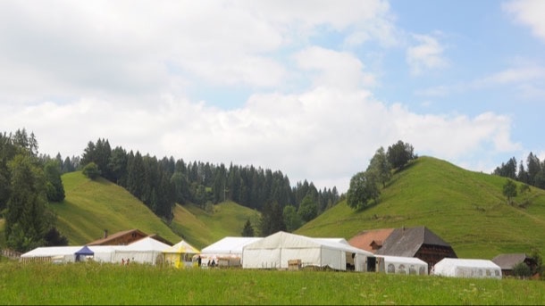 Vertanzt – Festival zum Mittanzen