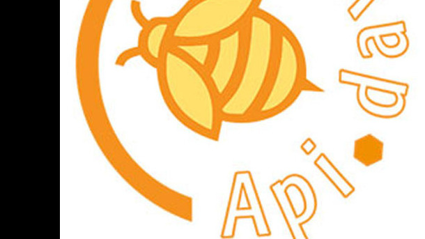 Bee Api !