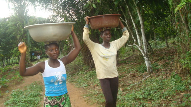 everybodyneedswater appli.