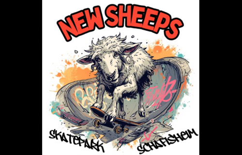Erneuerung Skatepark Schafisheim