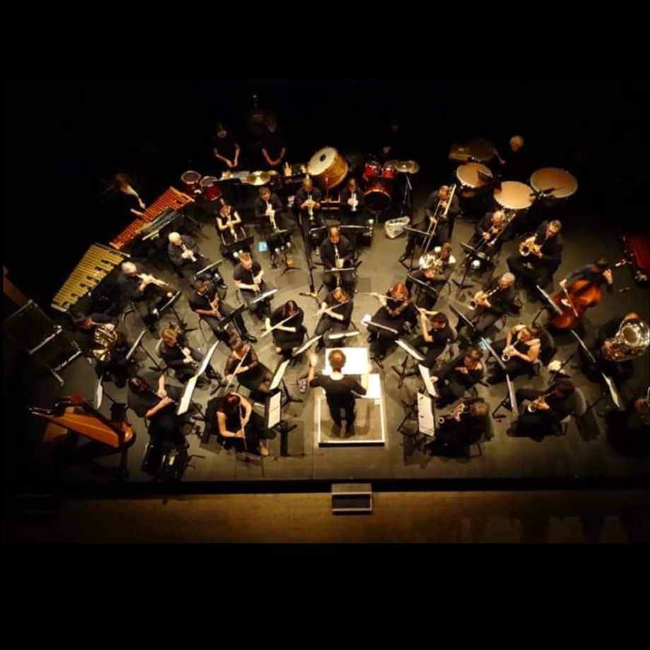 Harmonie : Concert privé de 30 minutes + Quintet