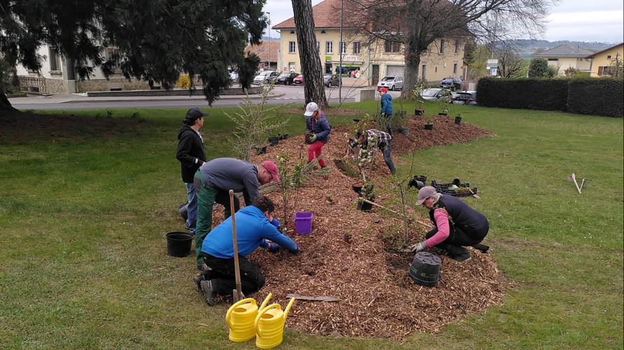 Spirale en pierres sèches de plantes aromatiques