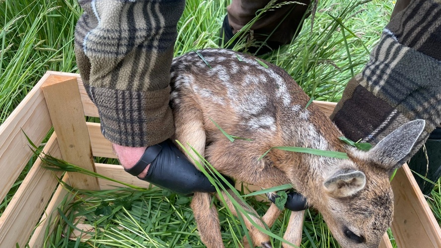 Neue Drohne für Rehkitzrettung und Rehkitzrettung+