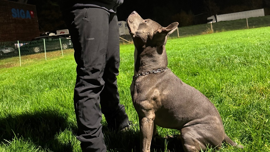 Zukunft des Hundesportplatzes KV Wolhusen sichern