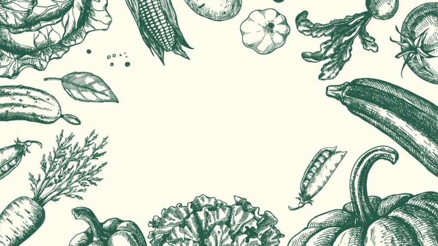 Solidarische Landwirtschaft in Bülach