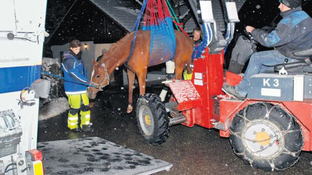  Riparazione dell’ambulanza di pronto soccorso per grandi animali 