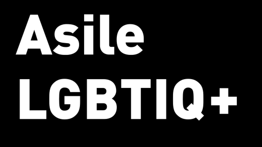 Asile LGBTIQ+, appui personnes queer en situation de migration forcée