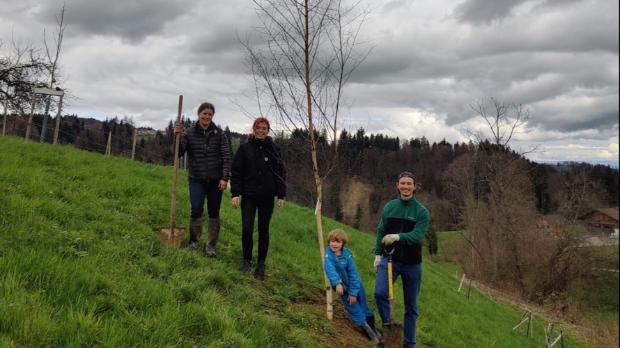 Arbor Mundi - Förderung der Ostschweizer Biodiversität