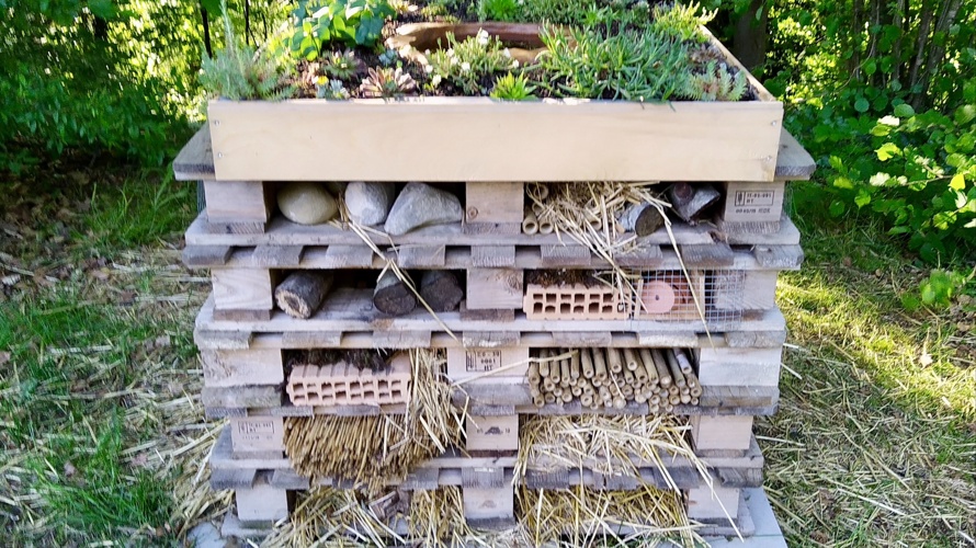 Jardimont : un jardin sauvage et évolutif au Mont-sur-Lausanne