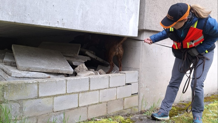 TierSuch Staffel Klettgau Schaffhausen