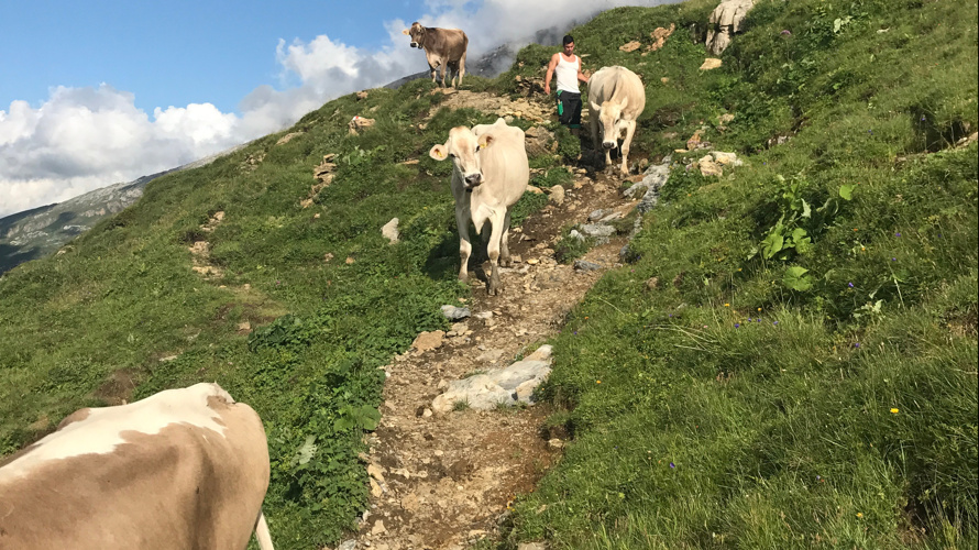 Bewirtschaftungsweg Mälchbödeli, Klausenpass