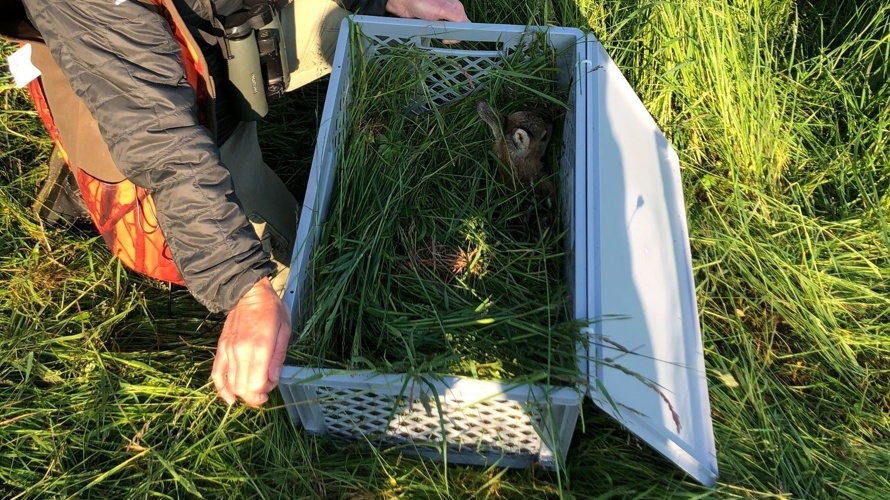 2 neue Wärmebilddrohnen für die Rehkitzrettung March