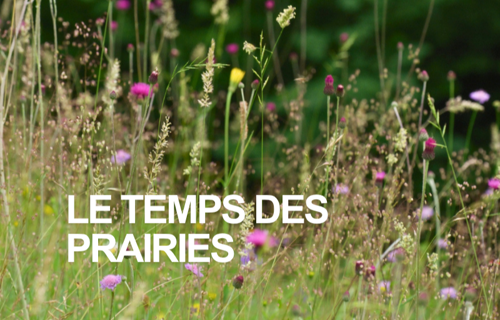 Le Temps des Prairies