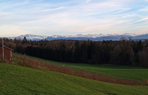 Gemeinsam für Biodiversität: erlebe Natur und gestalte im Rebberg