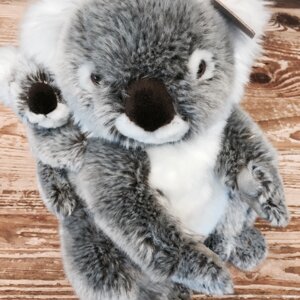 Koala Plüschtier und Familieneintritt in den Zoo Zürich