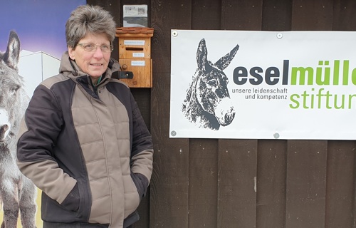 Helfen Sie uns, den Eseln in der Schweiz zu helfen