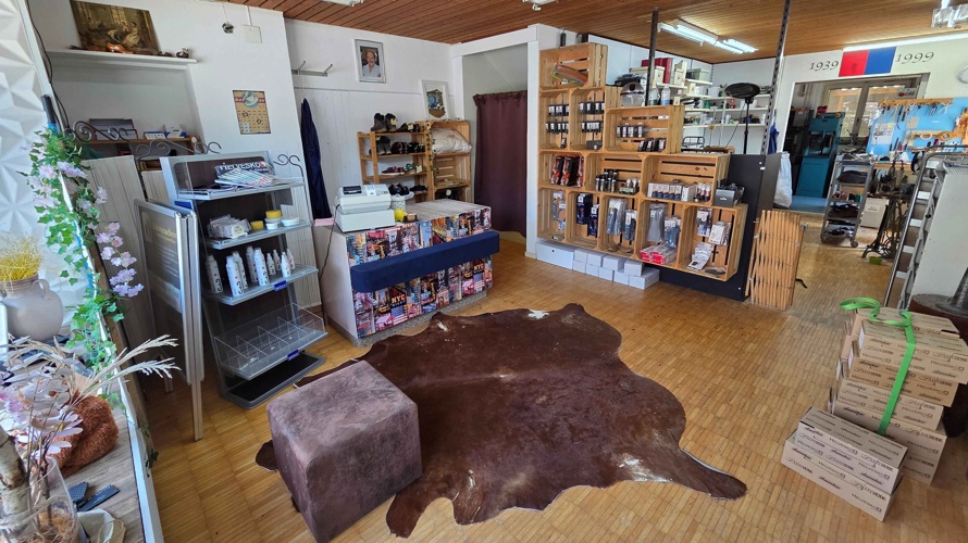 Rettet das Schuhmacher-Handwerk: Mein Herzblut für eure Schuhe!