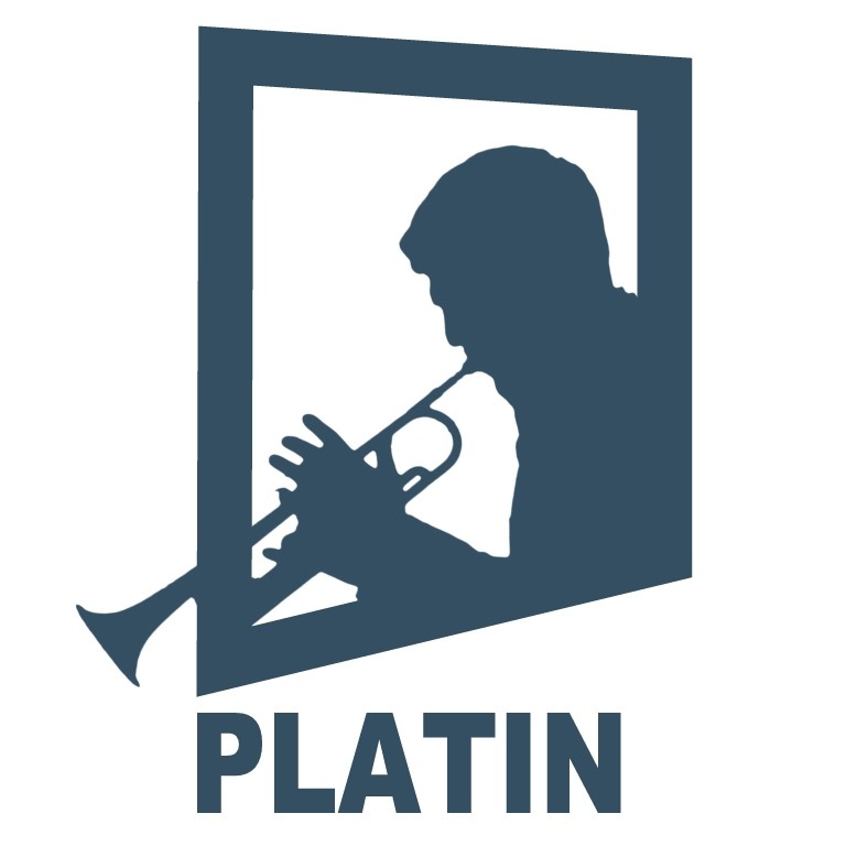 Platin Support